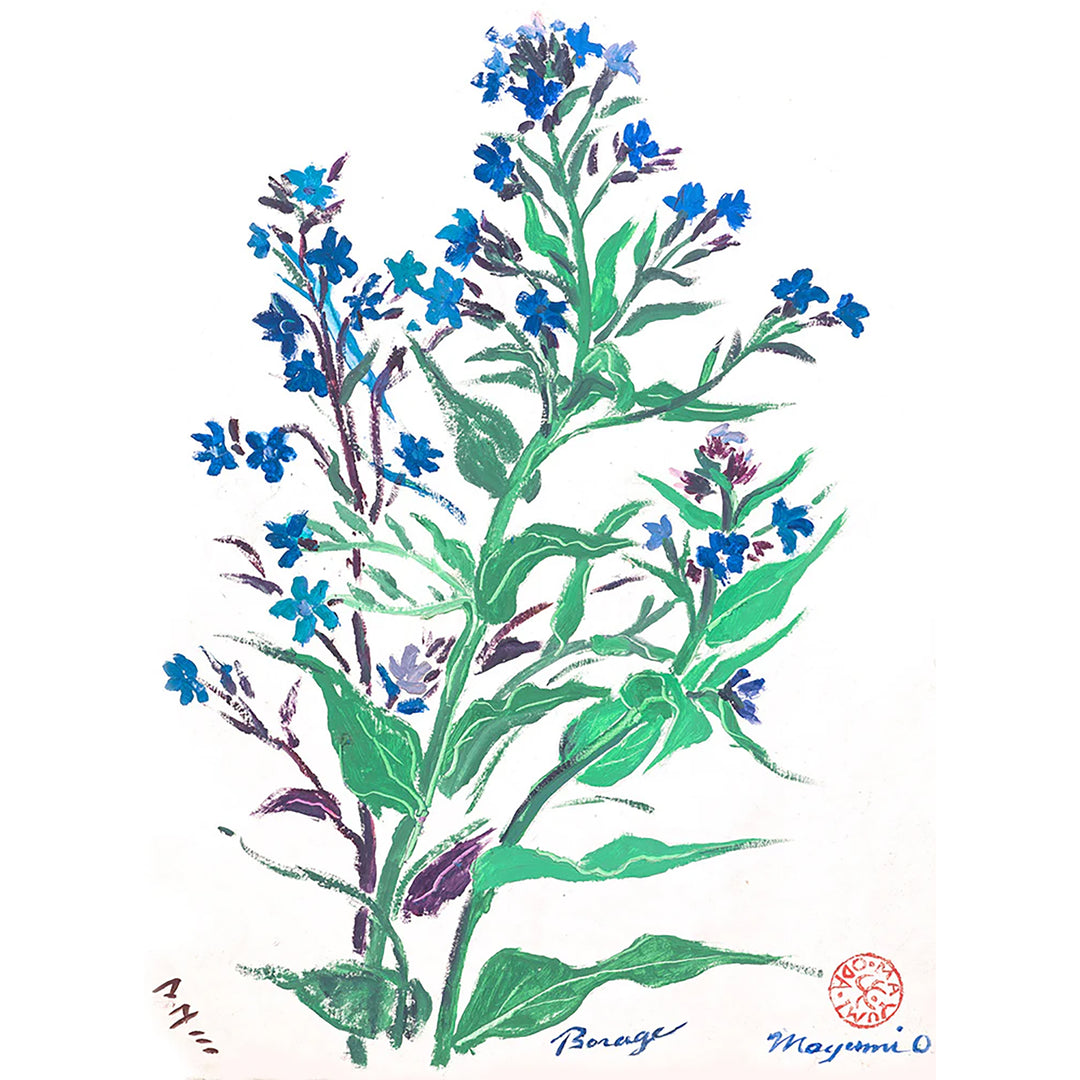 Borage