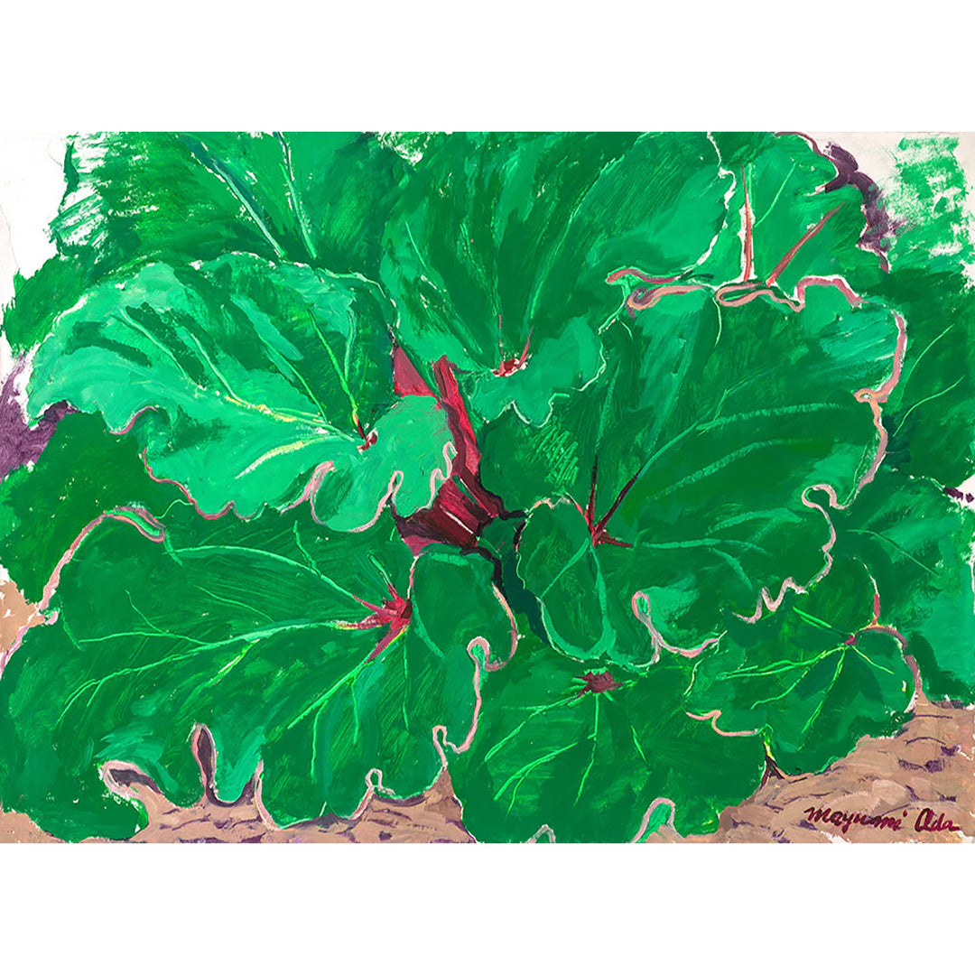 Rhubarb