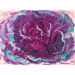 Purple Cabbage lV