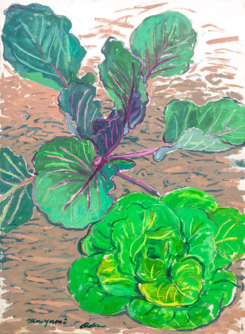 Purple Cabbage 1979, 16